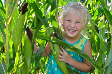Yüksek, yeşil Mısır arasında küçük, neşeli bir kız