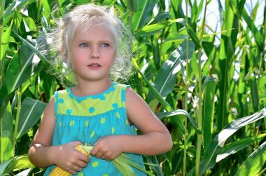 Yüksek, yeşil Mısır arasında küçük, neşeli bir kız