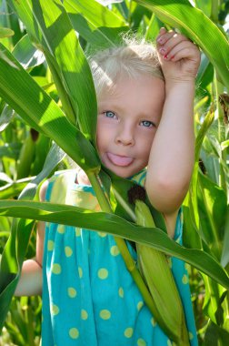 Yüksek, yeşil Mısır arasında küçük, neşeli bir kız