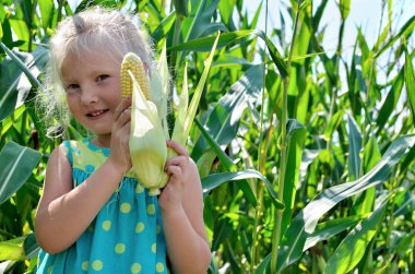 Yüksek, yeşil Mısır arasında küçük, neşeli bir kız
