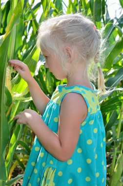 Yüksek, yeşil Mısır arasında küçük, neşeli bir kız