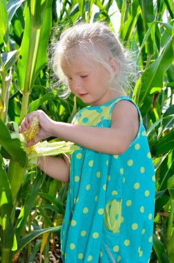 Yüksek, yeşil Mısır arasında küçük, neşeli bir kız