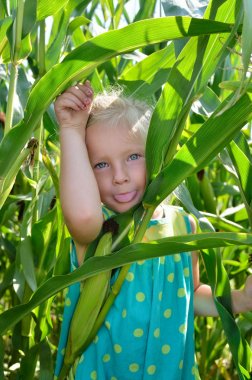 Yüksek, yeşil Mısır arasında küçük, neşeli bir kız