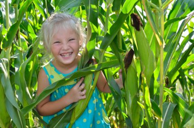Yüksek, yeşil Mısır arasında küçük, neşeli bir kız