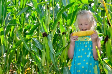 Yüksek, yeşil Mısır arasında küçük, neşeli bir kız