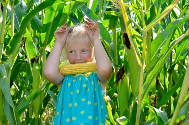 Yüksek, yeşil Mısır arasında küçük, neşeli bir kız