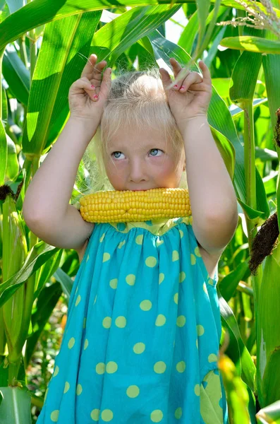 Yüksek, yeşil Mısır arasında küçük, neşeli bir kız