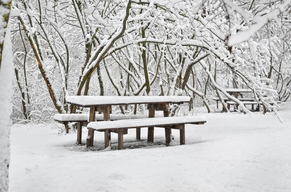 Een Houten Tafel Verlaten Park Een Winteravond — Stockfoto