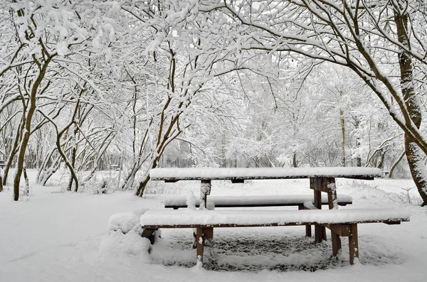 Wooden Table Abandoned Park Winter Evening — Stock Photo, Image