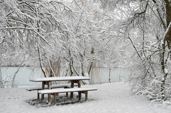 Een Houten Tafel Verlaten Park Een Winteravond — Stockfoto