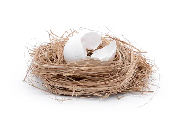 Small Chicken Nest Hatched Egg — Stock Photo, Image
