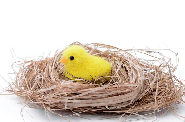 Small Chicken Nest Hatched Egg — Stock Photo, Image
