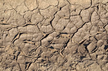Doku kırık, Dünya yüzeyinin Makinası.