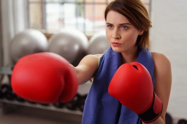 Donna determinata che si allena in guanti da boxe — Foto Stock