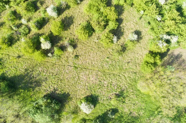 Vista aérea de prados, árvores e arbustos — Fotografia de Stock