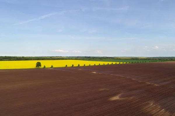 Tierra marrón rica recién arada en un campo agrícola — Foto de Stock