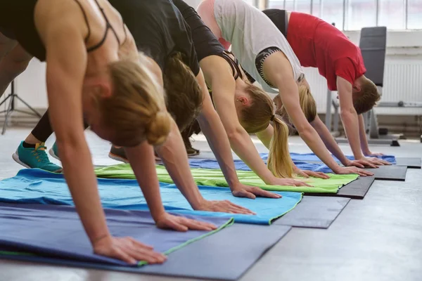 Grupo Personas Que Realizan Pose Perro Durante Lección Fitness —  Fotos de Stock