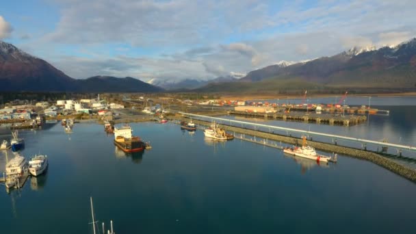 アラスカのボートと産業 — ストック動画