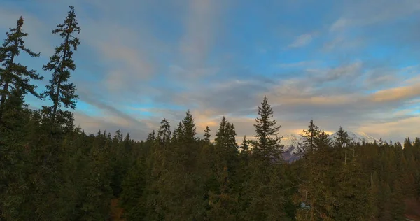 Beaux Paysages Naturels Alaska — Photo