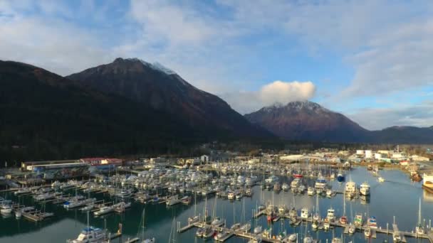 Maritiem Uitzicht Vanaf Seward Alaska — Stockvideo