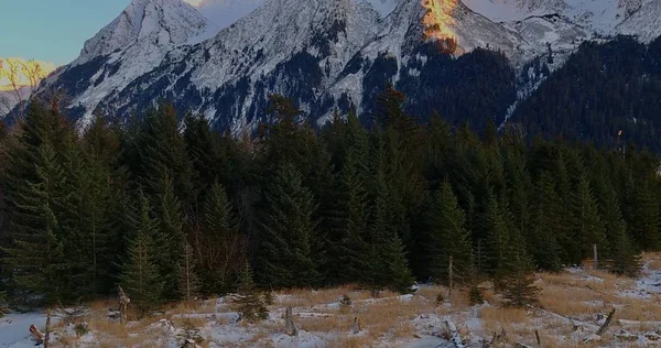 Winter Uitzicht Vanuit Seward Alaska — Stockfoto