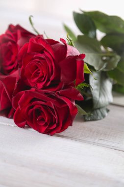 Güzel güller, Sevgililer kavramı, parlak arka plan