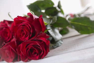 Güzel güller, Sevgililer kavramı, parlak arka plan