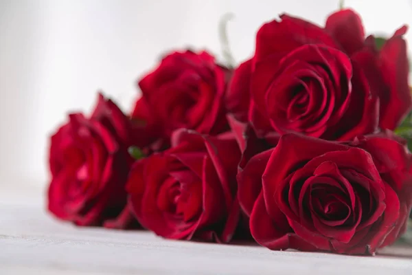 Beautiful roses, valentine 's concept, bright background — стоковое фото