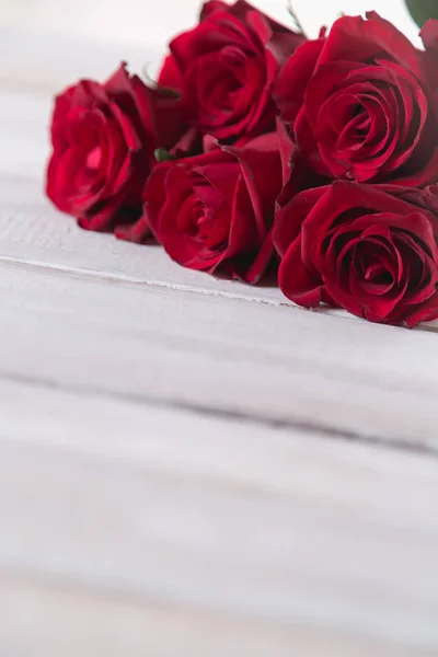 Beautiful roses, valentine 's concept, bright background — стоковое фото