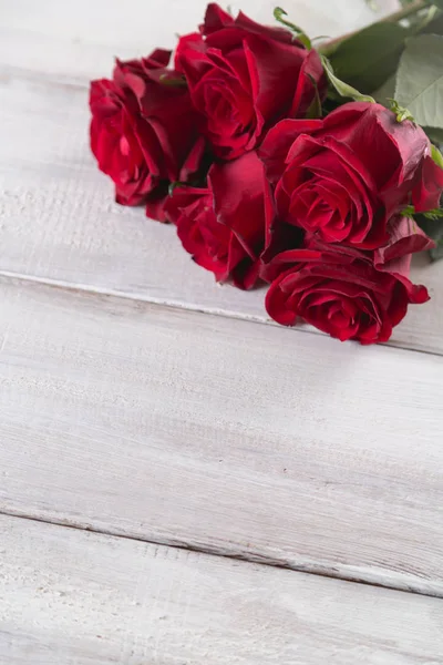 Beautiful roses, valentine 's concept, bright background — стоковое фото