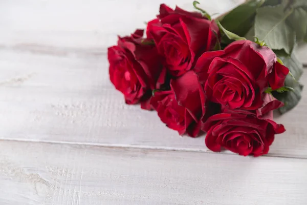 아름 다운 장미, 발렌타인의 개념, 밝은 배경 — 스톡 사진