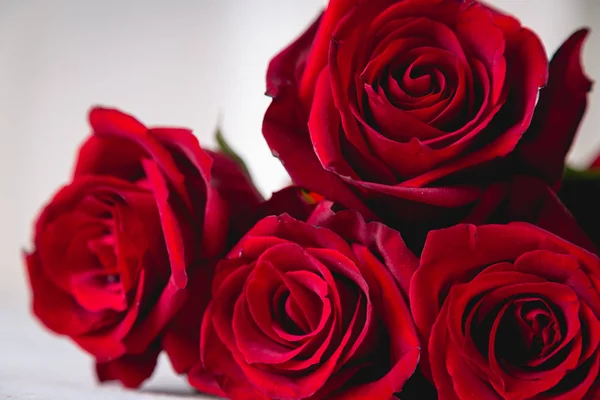 Mooie rozen, Valentijnsdag concept, lichte achtergrond — Stockfoto