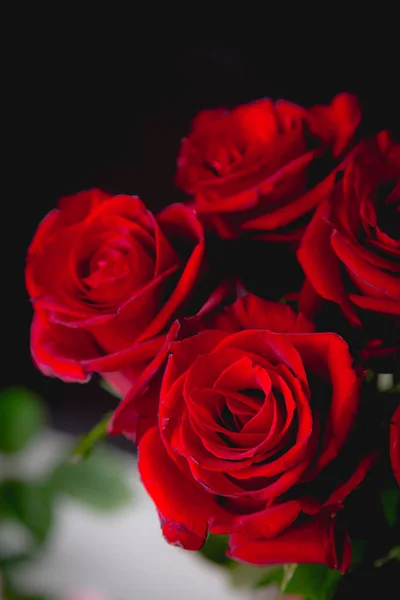 Prachtige Valentijnskaarten rozen op donkere achtergrond — Stockfoto