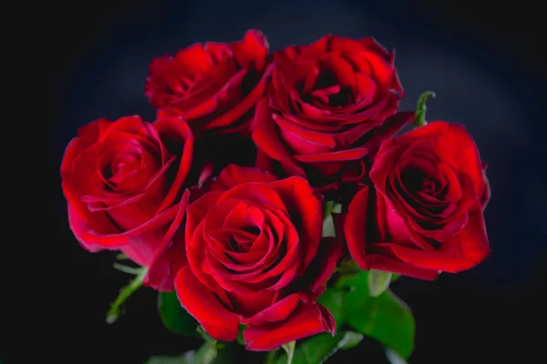 Красивые валентинки розы на темном фоне — стоковое фото