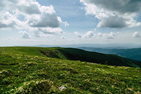 Grüne Berglandschaft, im Sommer verblasstes Naturkonzept — Stockfoto