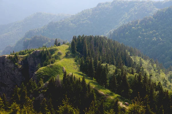 Karpatenlandschaft in Rumänien, sommerreise europa concep — Stockfoto