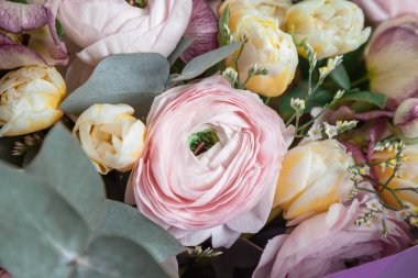 Çiçekler bukete yakın çekim. Pembe Ranunculus ve sarı laleler, okaliptüs yaprakları.