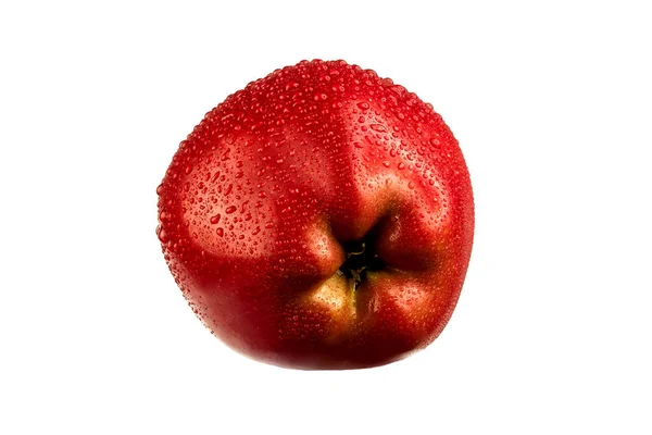 Grosse Pomme Rouge Fraîche Avec Des Gouttes Eau Sur Fond — Photo