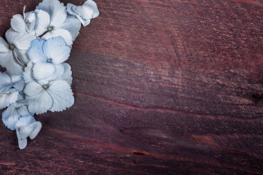 Ahşap arka planda ortanca yaprakları