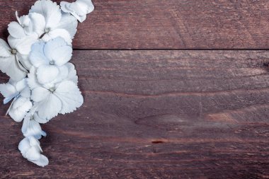 Ahşap arka planda ortanca yaprakları