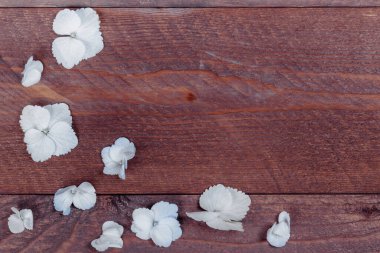 Ahşap arka planda ortanca yaprakları