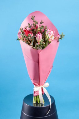 Mavi arka planda pembe ambalajlı lale çiçekleri. Yakın çekim, yüksek kalite..