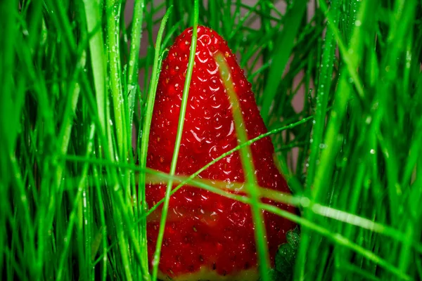 Fresas Maduras Dulces Hierba Verde Brillante Cosecha Fresa Deliciosa Comida —  Fotos de Stock