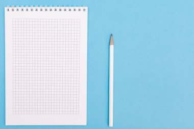Muhabirler kalem kopyalama uzayı ile jotter rezervasyonu yaparlar. Mavi arkaplanda en üstteki görünüm