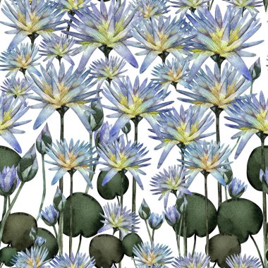 Lotus suluboya deseni. Çiçekli düğün konsepti. Çiçek posteri, davetiye, tebrik kartı ya da davetiye tasarımı, tekstil