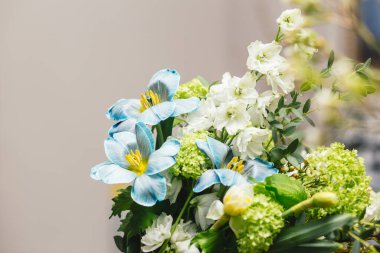  Güzel bahar çiçekleri - Tulip, Delphinium, Narcissus, Humilation, Eucalyptus ve Viburnum Roseum fotokopi alanının parlak arka planında. Sevgililer Günü, Kadınlar Günü ve Anneler Günü tatili için tebrik kartı..