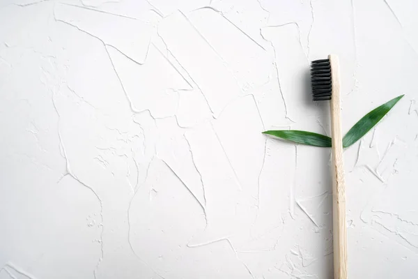 Bamboo brush with green leaves on a white background. Poster for advertising without waste.