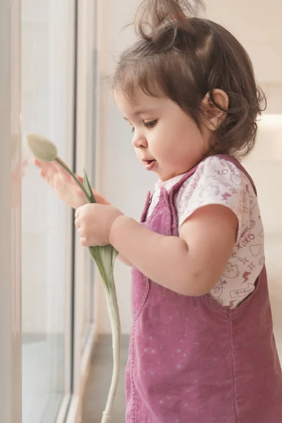 Egy Rózsaszín Ruhás Lánynak Tulipánja Van Egy Gyerek Áll Ablaknál — Stock Fotó