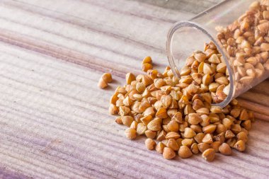 Gri kurulu yalan Slayt üzerindeki bir kavanoz saçılan tohumlar