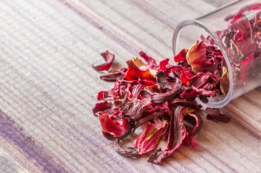 Gri kurulu yalan Slayt üzerindeki bir kavanoz saçılan tohumlar